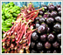 Monterey Market